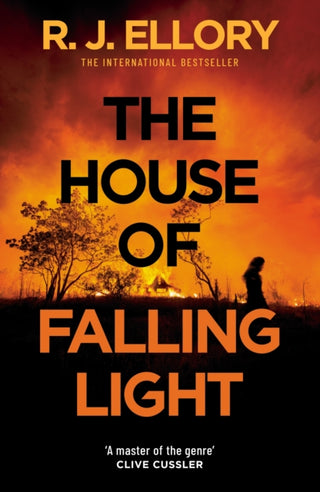 Cover image for 9781398724051 - The House of Falling Light