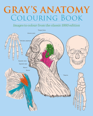 Cover image for 9781398807891 - Gray's Anatomy Colouring Book