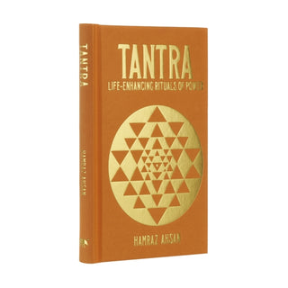 Cover image for 9781398807983 - Tantra