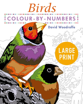 Cover image for 9781398808904 - Large Print Colour by Numbers Birds
