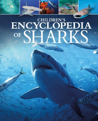 Cover image for 9781398813090 - Children's Encyclopedia of Sharks