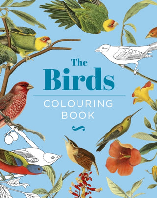 Cover image for 9781398824522 - The Birds Colouring Book
