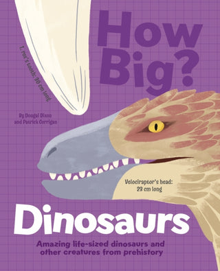 Cover image for 9781398828582 - How Big? Dinosaurs
