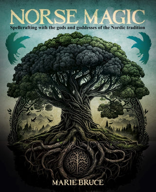 Cover image for 9781398839502 - Norse Magic