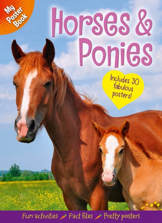Supplemental image for 9781398839687 - My Poster Book: Horses & Ponies