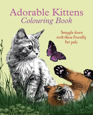 Cover image for 9781398840119 - Adorable Kittens Colouring Book