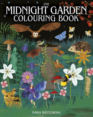 Cover image for 9781398840188 - The Midnight Garden Colouring Book