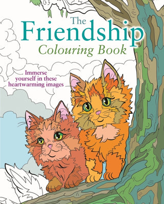 Cover image for 9781398851542 - The Friendship Colouring Book