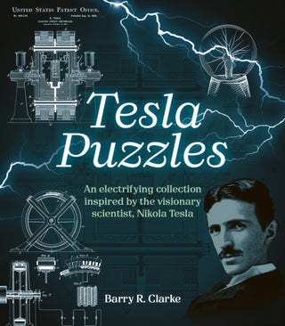 Cover image for 9781398855113 - Tesla Puzzles