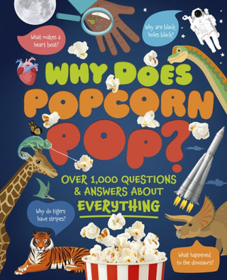 Cover image for 9781398855380 - Why Does Popcorn Pop?