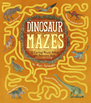 Cover image for 9781398855472 - Dinosaur Mazes