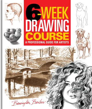 Cover image for 9781398862883 - 6-Week Drawing Course