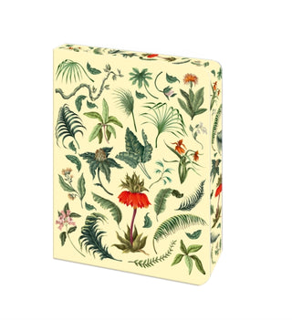Cover image for 9781398862937 - Fern Journal