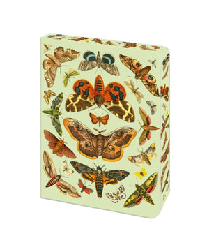 Cover image for 9781398862951 - Moth Journal