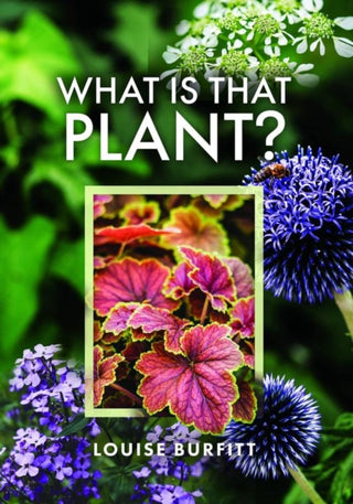 Cover image for 9781399006163 - What is that Plant?