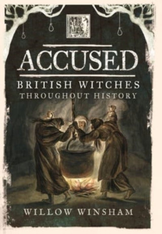 Cover image for 9781399014533 - Accused