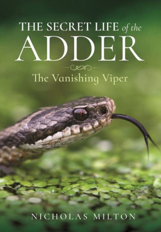 Cover image for 9781399018166 - The Secret Life of the Adder