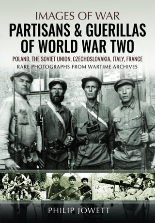 Cover image for 9781399037976 - Partisans & Guerrillas of World War Two