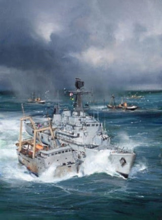 Cover image for 9781399041706 - The Royal Navy and Fishery Protection