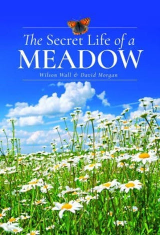 Cover image for 9781399072540 - The Secret Life of a Meadow