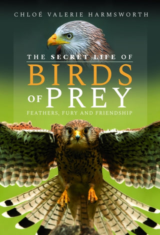 Cover image for 9781399093248 - The Secret Life of Birds of Prey
