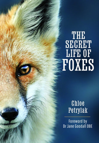 Cover image for 9781399093392 - The Secret Life of Foxes