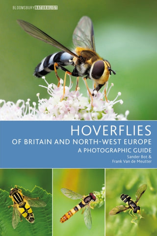 Cover image for 9781399402453 - Hoverflies of Britain and North-west Europe