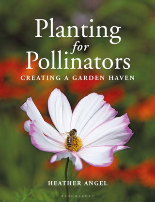 Supplemental image for 9781399403023 - Planting for Pollinators