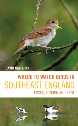 Cover image for 9781399403603 - Where to Watch Birds in Southeast England