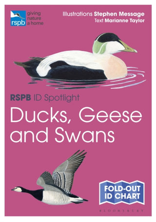 Cover image for 9781399403696 - RSPB ID Spotlight - Ducks, Geese and Swans