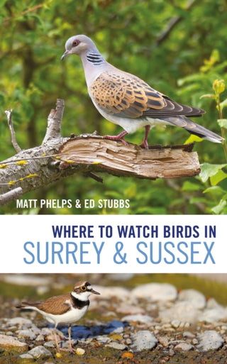 Cover image for 9781399404235 - Where to Watch Birds in Surrey and Sussex