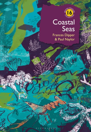 Cover image for 9781399404761 - Coastal Seas