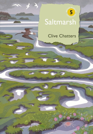 Cover image for 9781399404822 - Saltmarsh