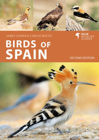 Cover image for 9781399405010 - Birds of Spain