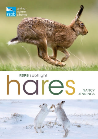 Cover image for 9781399405041 - RSPB Spotlight Hares
