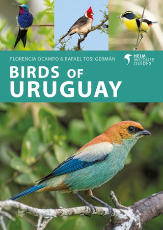 Cover image for 9781399406734 - Birds of Uruguay