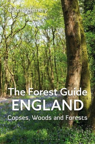 Cover image for 9781399409063 - The Forest Guide: England