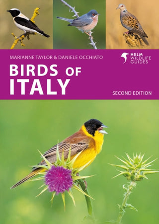 Cover image for 9781399410649 - Birds of Italy