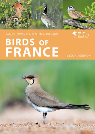 Cover image for 9781399411387 - Birds of France