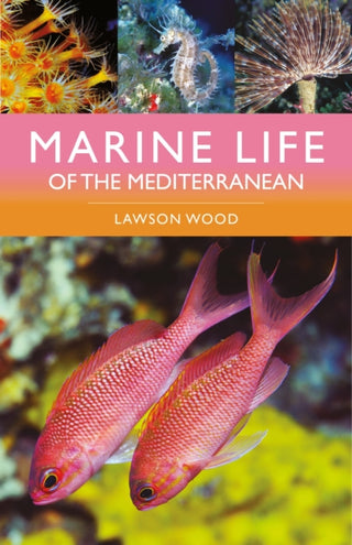 Cover image for 9781399411707 - Marine Life of the Mediterranean