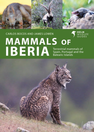 Cover image for 9781399411936 - Mammals of Iberia