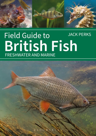 Cover image for 9781399412254 - Field Guide to British Fish