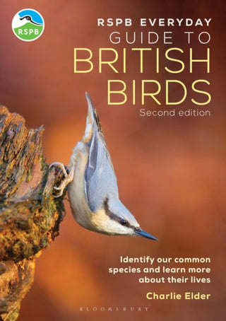 Cover image for 9781399413275 - RSPB Everyday Guide to British Birds