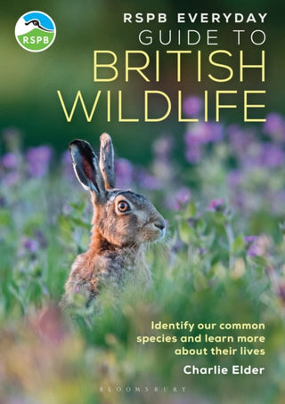 Cover image for 9781399413329 - RSPB Everyday Guide to British Wildlife