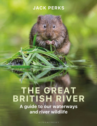 Cover image for 9781399413985 - The Great British River