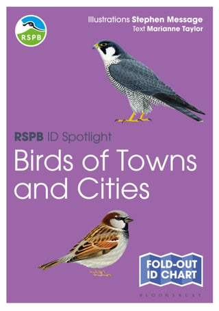 Cover image for 9781399419093 - RSPB ID Spotlight - Birds of Towns and Cities