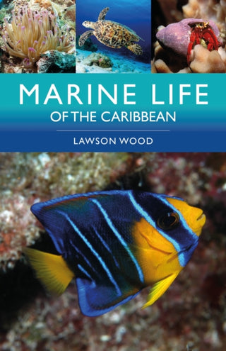 Cover image for 9781399419352 - Marine Life of the Caribbean