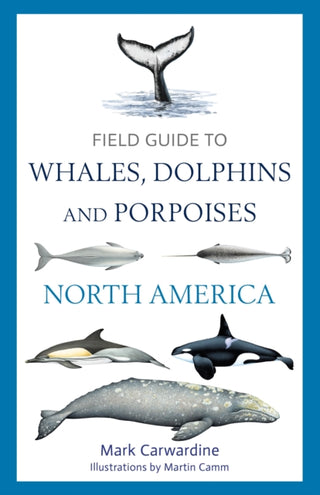 Cover image for 9781399424417 - Field Guide to Whales, Dolphins and Porpoises of North America
