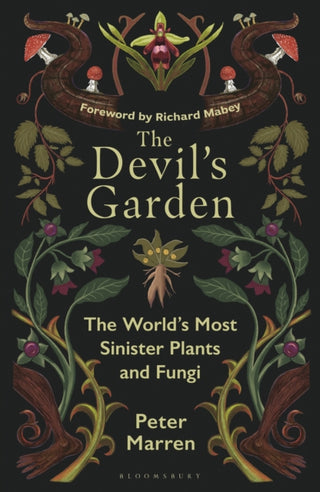 Cover image for 9781399425469 - The Devil’s Garden