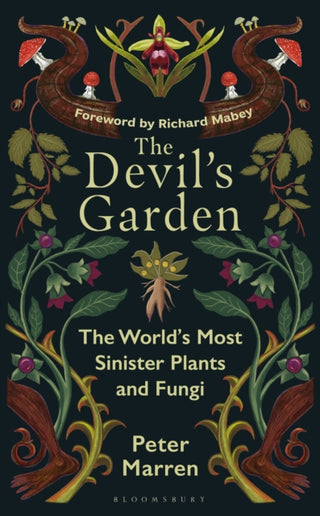 Cover image for 9781399425469 - The Devil’s Garden